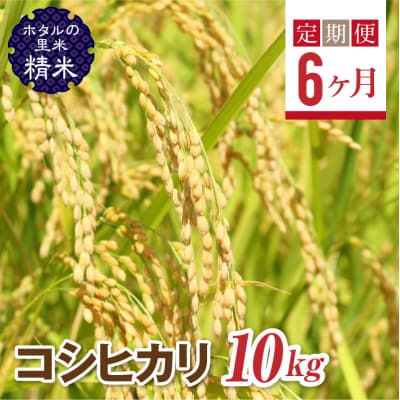 栽培期間中、農薬を減らした栽培米 コシヒカリ精米10kg