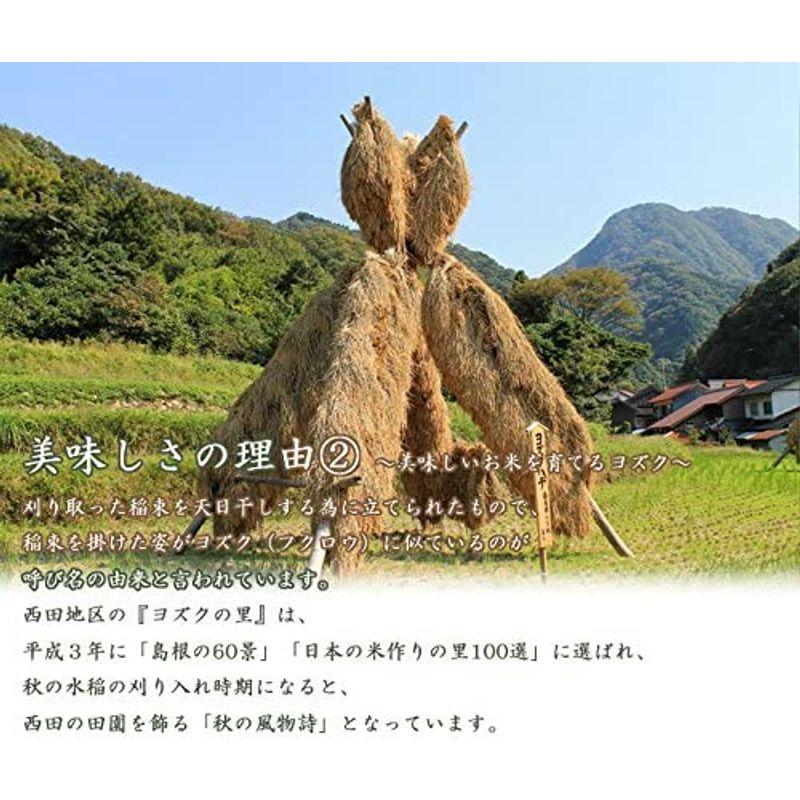 精米 島根県 石見銀山 つや姫 (白米, 5kg)