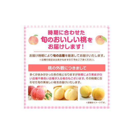 ふるさと納税 和歌山県 紀の川市 桃 約2kg（6-9玉） 岸武青果株式会社《2024年6月末頃-8月末頃より順次出荷》 和歌山県 紀の川市 桃山町 もも モ…