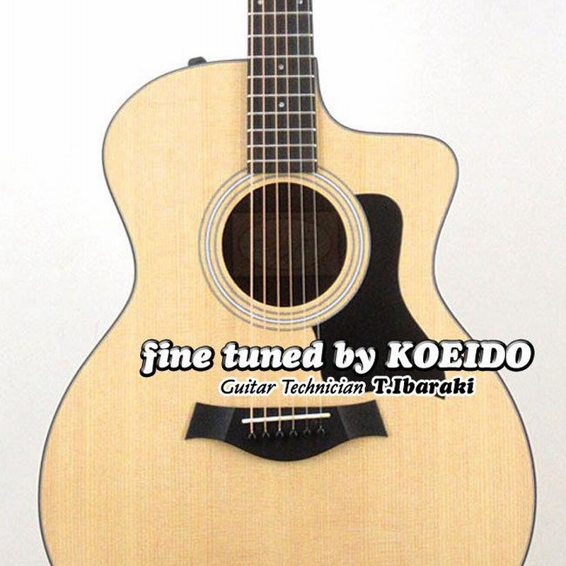 Taylor 114ce Walnut ES2 テイラー アコースティックギター エレアコ 