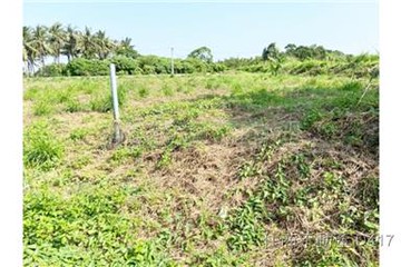 歸仁大盤大一般角窗農地｜台南市歸仁區八甲段​