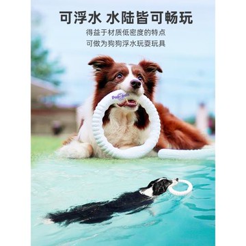 GiGwi貴為狗狗玩具飛盤狗專用飛盤耐咬金毛邊牧寵物訓狗訓練飛環