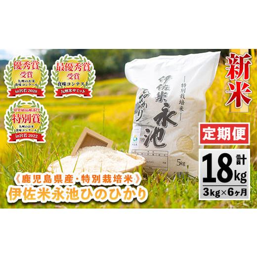 ふるさと納税 鹿児島県 伊佐市 C0-09 令和5年産 新米 特別栽培米 伊佐米永池ひのひかり(計18kg・3kg×6ヶ月)