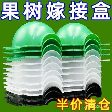 🔥免運🔥臺灣出貨📣高壓盒嫁接盒高壓生根繁殖球扡插高壓球高壓繁殖盒月季生根盒