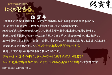 A4～A5等級限定 佐賀牛リブロースステーキ 300g×2枚(合計600g) A4 A5 国産 牛肉 霜降り ブランド牛 ステーキ BBQ 焼肉 キャンプ アウトドア 贈り物 ギフト「2023年 令和5年」