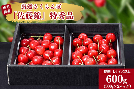 令和6年産 特秀品 さくらんぼ「 佐藤錦 」600g (300g×2パック) Lサイズ以上 2024年産 山形県産 山形産 　026-A-AF002