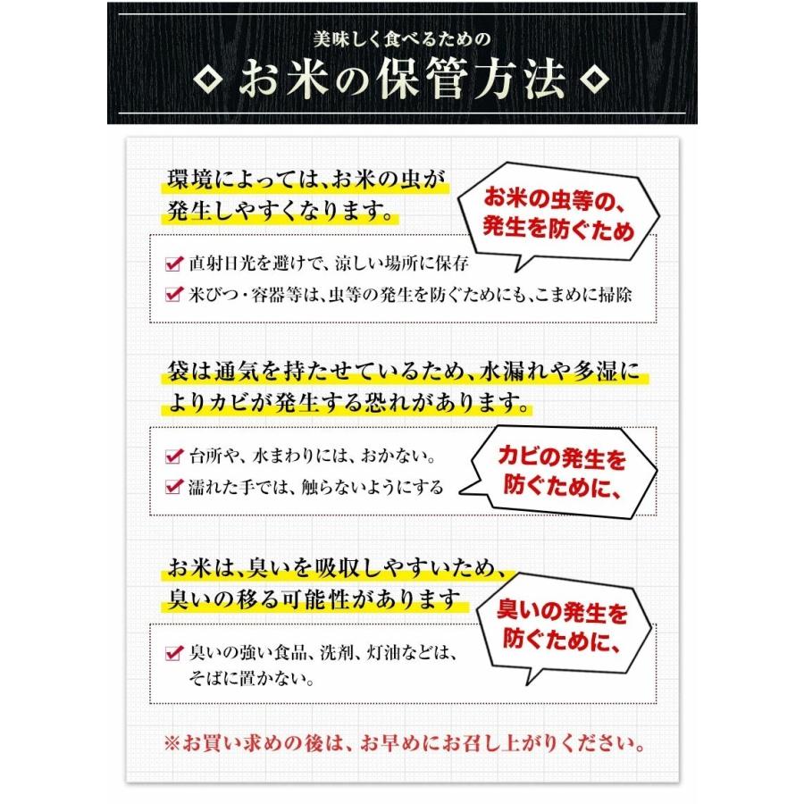 米 10kg 送料無料 無洗米 5kg ×2袋 お米 国産 白米 令和4年産 ブランド米 6割使用 ふるさと無洗米 熊本 7-14営業以内発送予定(土日祝除)