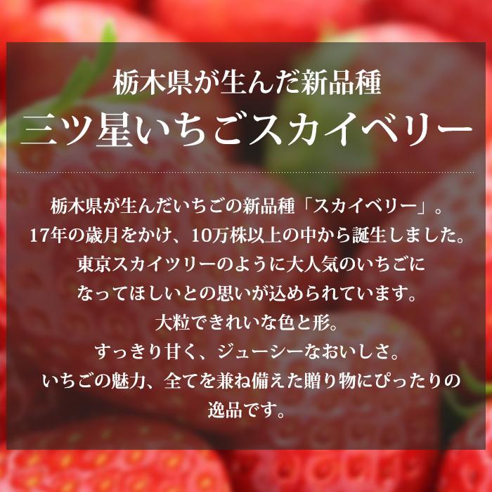 いちご 栃木県産 スカイベリー G 2パック（約280g 1パック）