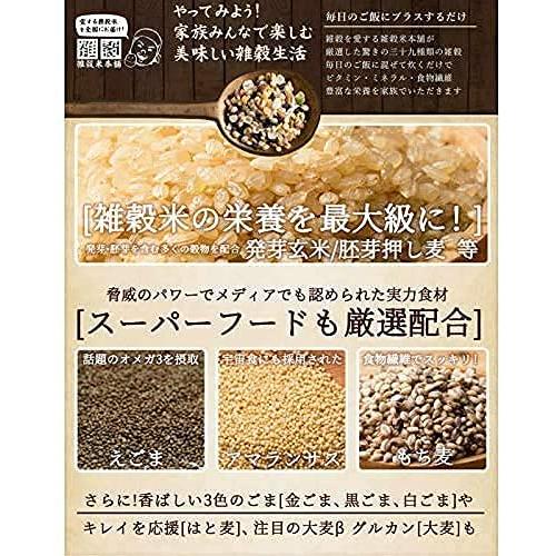 雑穀米本舗 明日への輝き39穀米ブレンド 3kg(500g×6袋)