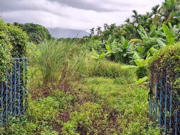專約-高樹新田子段優質農地｜屏東縣高樹鄉新田子段