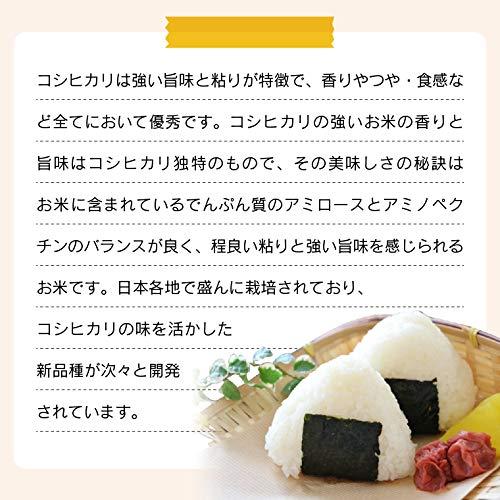 令和５年 福島県産コシヒカリ 27kg（9kg×3）