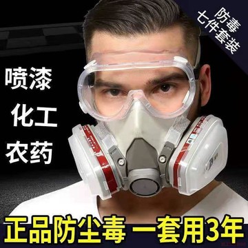 桃園出貨🍂6200防毒面具噴漆甲醛裝修打磨專用防塵油漆農藥口罩防護