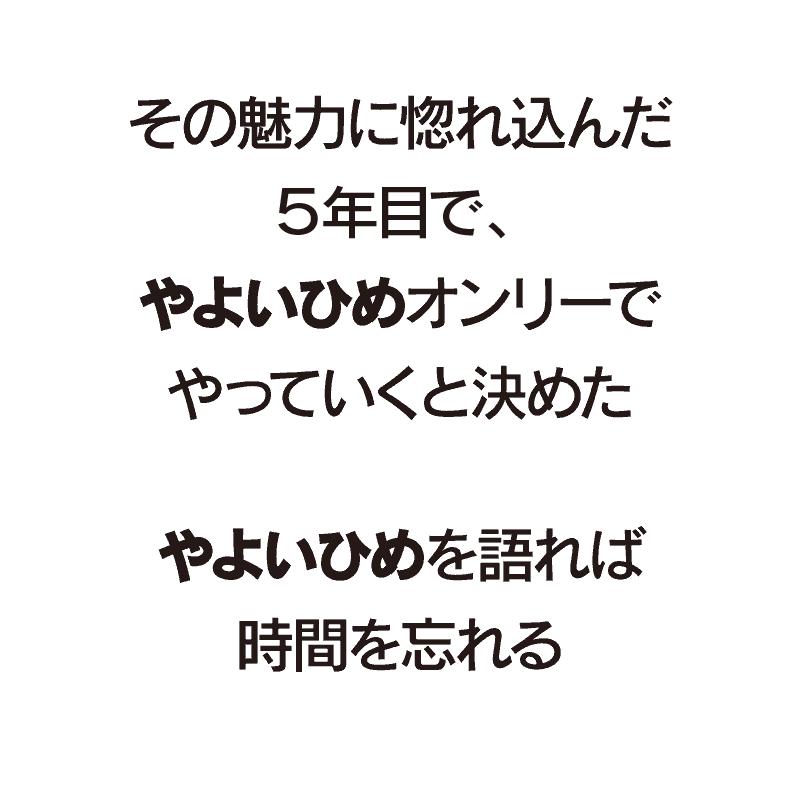 いちご 送料無料 やよいひめ 1パック イチゴ やよい姫 苺 宮崎産 ＜12月中旬より出荷予定＞ 農家直送 フルーツ 果物 大嶌屋（おおしまや）