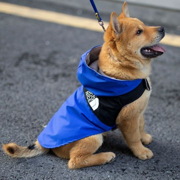 寵物用品 寵物衣服跨境 狗狗雨衣拼色粘貼春秋寵物衣服小型犬泰迪比熊沖鋒衣連帽 寵物雨衣 狗狗衣服 狗狗雨衣中型犬