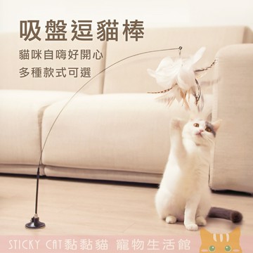【吸盤逗貓棒】自動逗貓棒 鋼絲逗貓棒 逗貓玩具 替換式逗貓棒 逗貓桿 寵物玩具 貓咪玩具