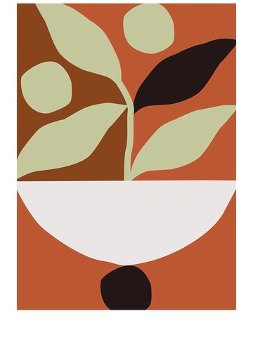 Maceta