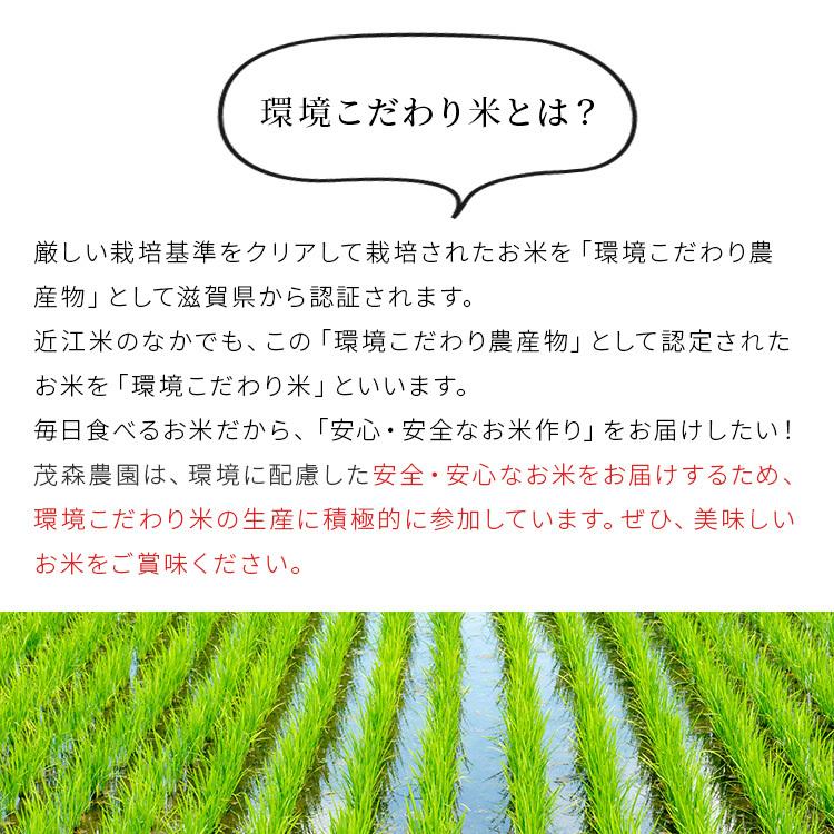 米 日本晴れ 3kg 令和5年 米 送料無料 お米 玄米 白米 精米無料 農家直送 近江米 滋賀県産