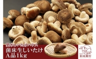 菌床生しいたけ（A品）1kg 椎茸