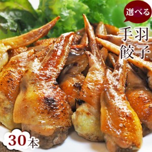  手羽餃子 お徳用 30本セット（5本入×6袋）手羽先餃子 肉餃子 バーベキュー BBQ bbq 焼き鳥 焼鳥 やきとり