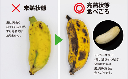 甘さ濃厚もっちりアップルバナナ3kg