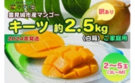 キーツマンゴー約2.5kg（白箱）訳ありご家庭用