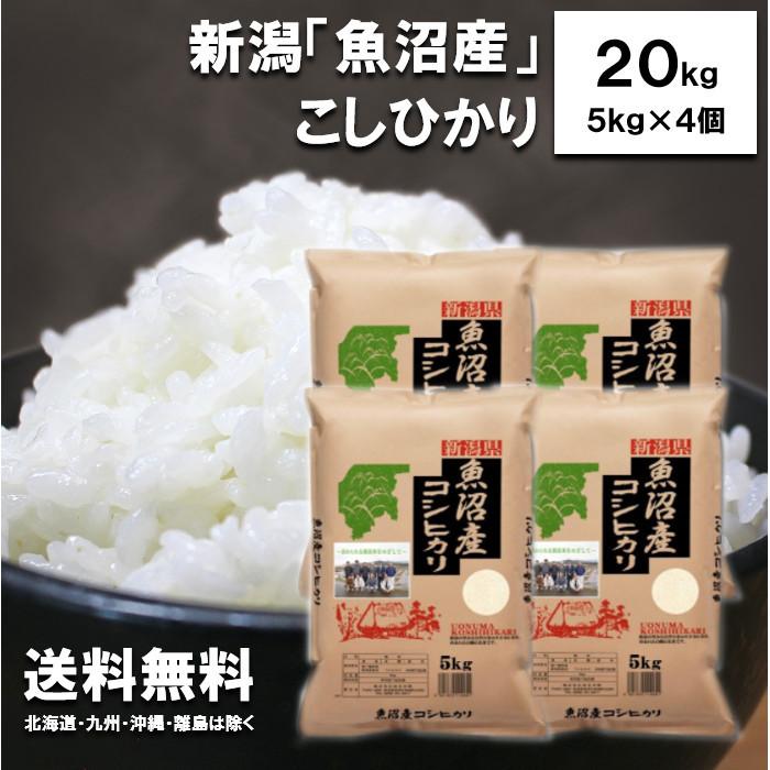 新米　田中米穀　新潟魚沼産こしひかり20kg（5kg×4袋）　新潟県産　お米　白米　コシヒカリ　令和5年度産