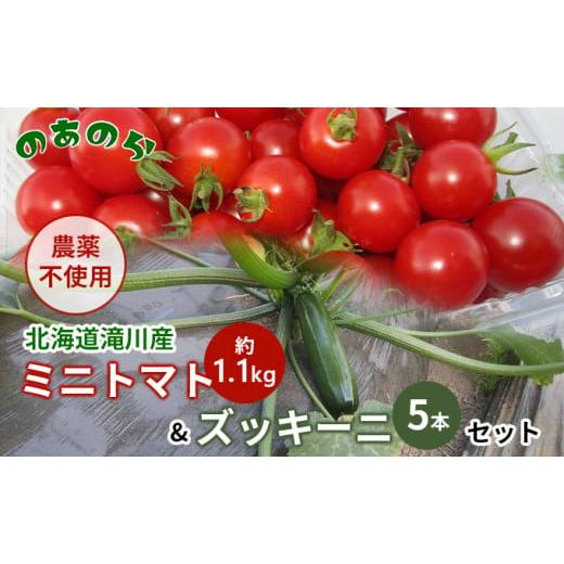 ふるさと納税 北海道 滝川市 北海道滝川市産ミニトマト 約1.1kgズッキーニ5本セット