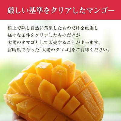 ふるさと納税 新富町 宮崎県産完熟マンゴー「太陽のタマゴ」3Lサイズ×2個