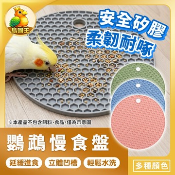【鳥國王】鸚鵡慢食盤 鳥用覓食盤 蜂窩慢食墊 覓食慢食墊 鳥飼料盤 慢速進食墊 鸚鵡餵食盤 鳥用覓食玩具 鳥用餐具 鳥用