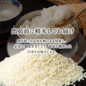 B01024　丹生米の里 丹川のお米 ヒノヒカリ白米 5kg×12回