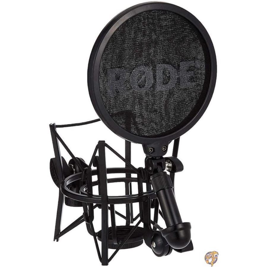 RODE Microphones ロードマイクロフォンズ NT2-A コンデンサーマイク NT2A 送料無料