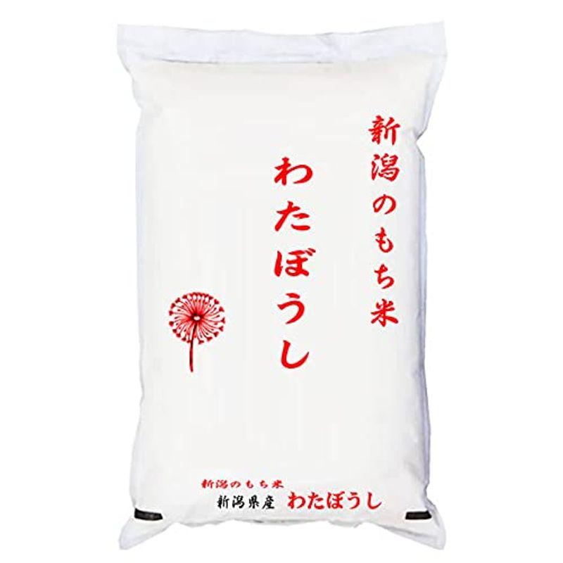 精米新潟県産 無洗米(袋再利用) 白米 もち米 わたぼうし 5kg(長期保存包装)x2袋 令和5年産 新米