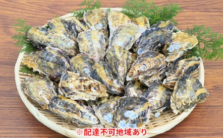 牡蠣 旬にお届け！ 姫路産 1年牡蠣 殻付き真牡蠣 加熱用 約4kg 魚介 魚介類 海鮮 貝類 生牡蠣 かき