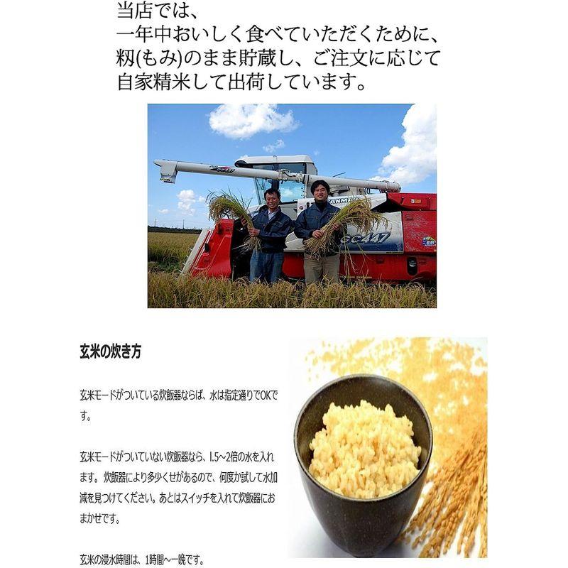 こだわり特別栽培米コシヒカリ玄米20kg(10kg×2） もりばやし農園自社栽培