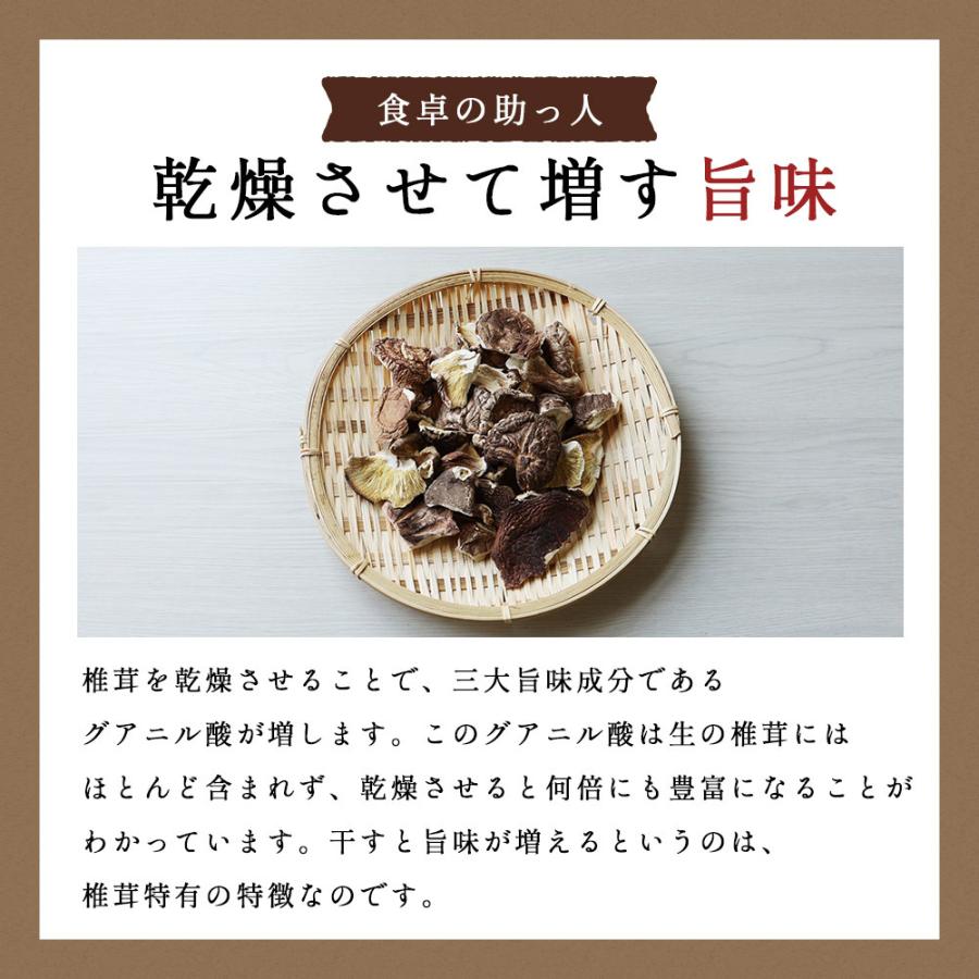 干し椎茸110g  国産 自然栽培 訳あり 割れ欠け 規格外の助っ人 送料無料 大分県産 TSG