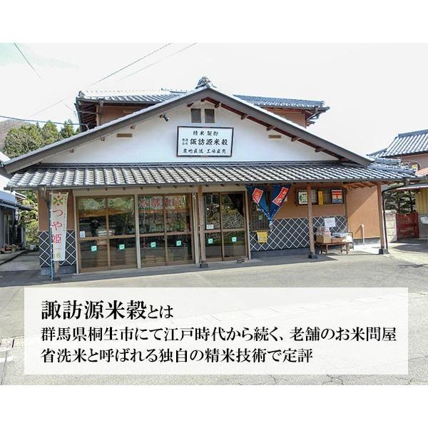 新米 令和5年産 新潟県 魚沼産コシヒカリ 900g 10個セット 検査1等米  景品 賞品 すわげんの省洗米