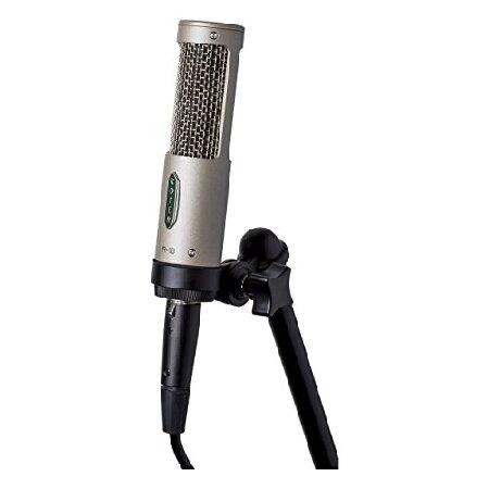 Royer R-10 Ribbon Microphone