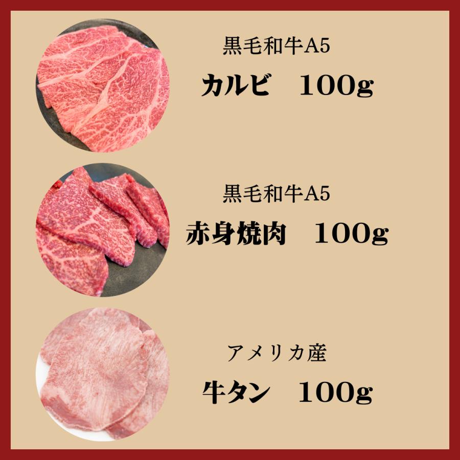 定番焼肉セット300ｇ　黒毛和牛Ａ５　アメリカ産牛　1〜2名分