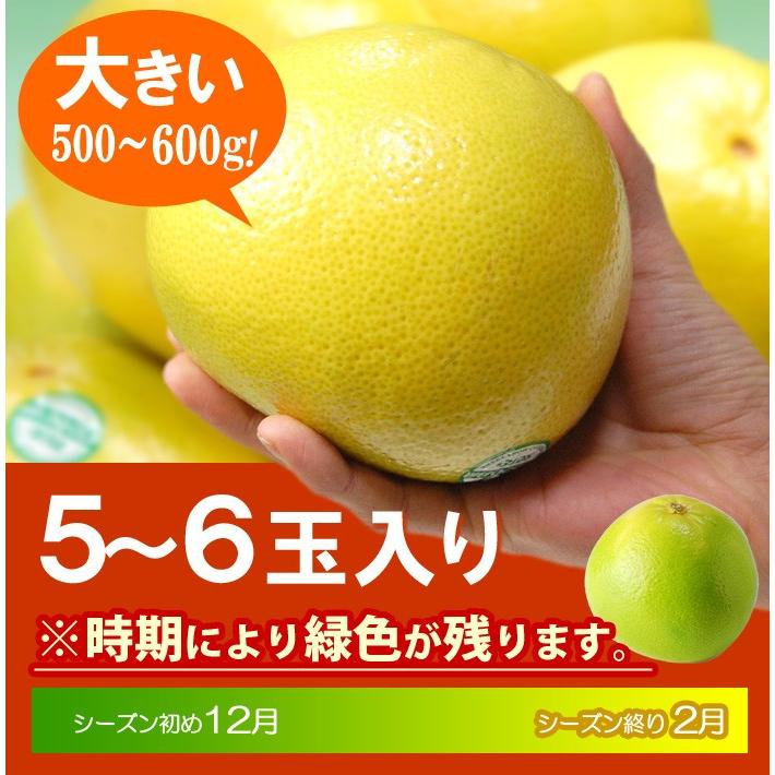 完熟 メロゴールド 中玉 (5-6玉 約3.5kg) アメリカ産 メローゴールド グレープフルーツ カリフォルニア 高糖度 甘い 食品 フルーツ 果物 グレープフルーツ