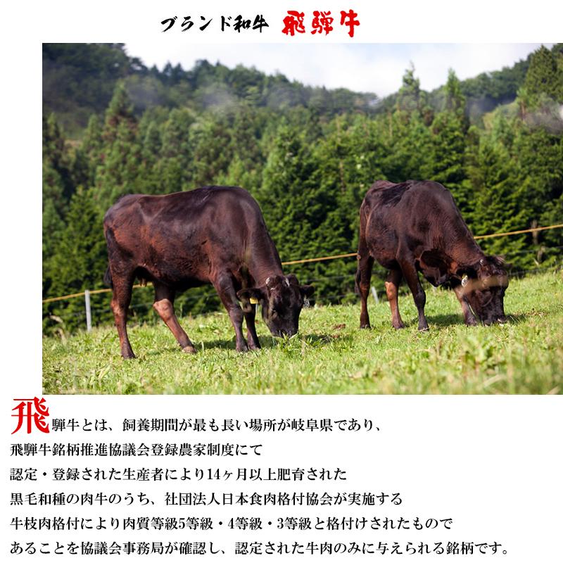 飛騨牛 特製味付け肉 500g ギフトセット 国産 和牛 ブランド 霜降り 最高級ブランド和牛 ギフトボックス付き wagyu ギフト