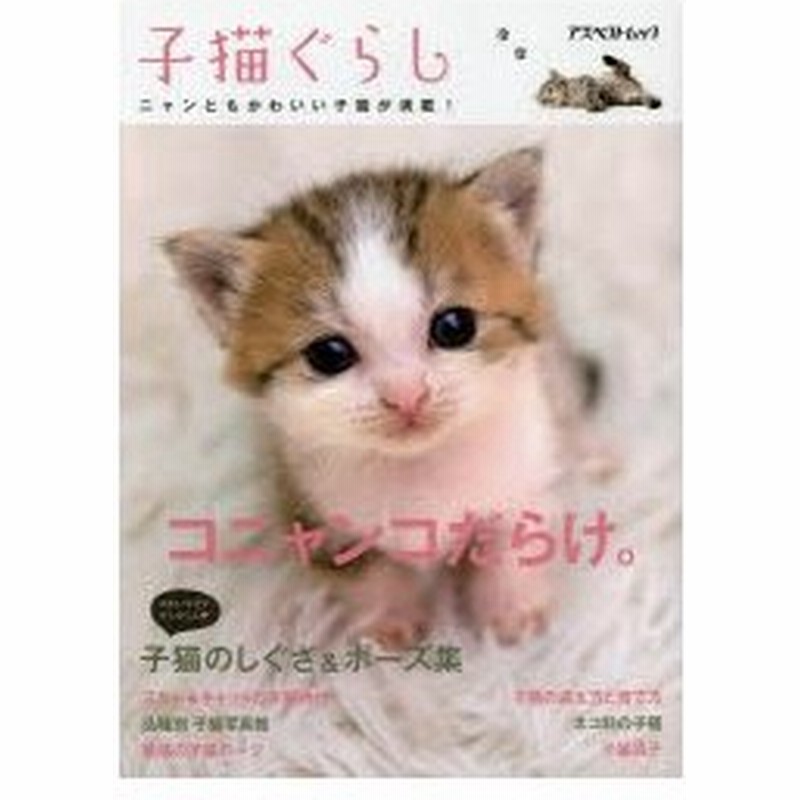 子猫ぐらし コニャンコだらけ 子猫のしぐさ ポーズ集 子猫の迎え方と育て方 ほか 通販 Lineポイント最大0 5 Get Lineショッピング