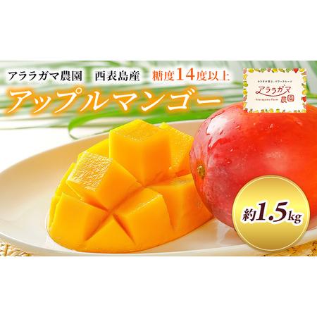 ふるさと納税 2024年 先行予約 アップルマンゴー 約1.5kg プレミアムな美味しさ マンゴー 果物 フルーツ 沖縄県竹富町