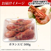 1311. ボタンエビ 500g えび エビ 海老 お刺身 魚介 海鮮 送料無料 北海道 弟子屈町