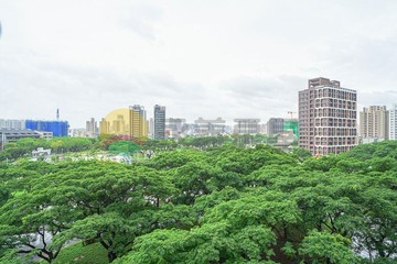 龍來回家放鬆高大樹海邊間四房+平車　｜高雄市楠梓區大學二十街
