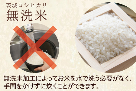 令和5年産 新米 無洗米 茨城 コシヒカリ 10kg (5kg×2袋) ×8カ月 米 お