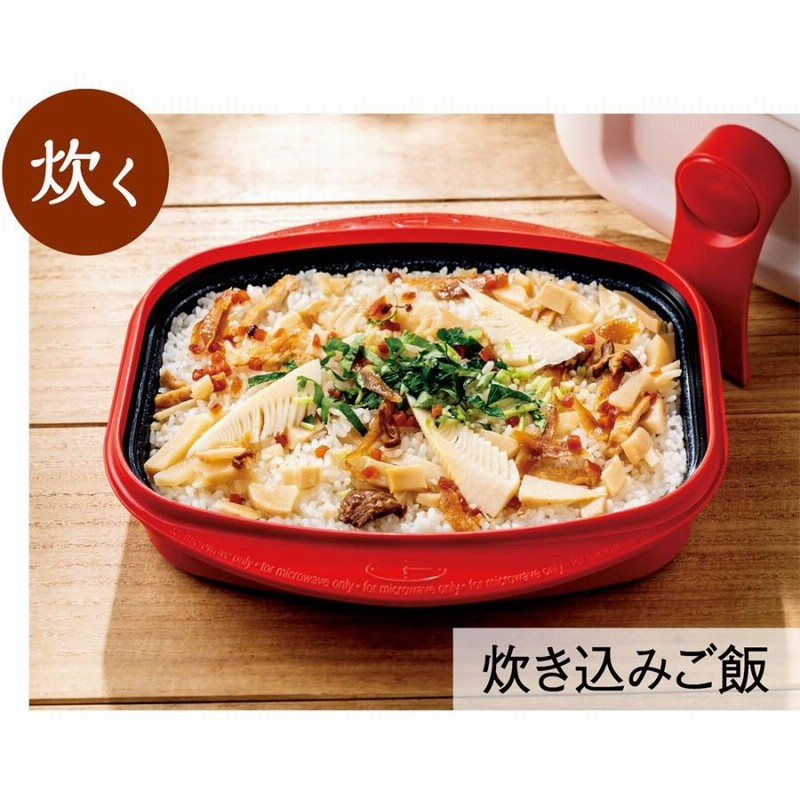 レンジメートプロ 電子レンジ専用調理器 レンジで焼き魚 魚焼き
