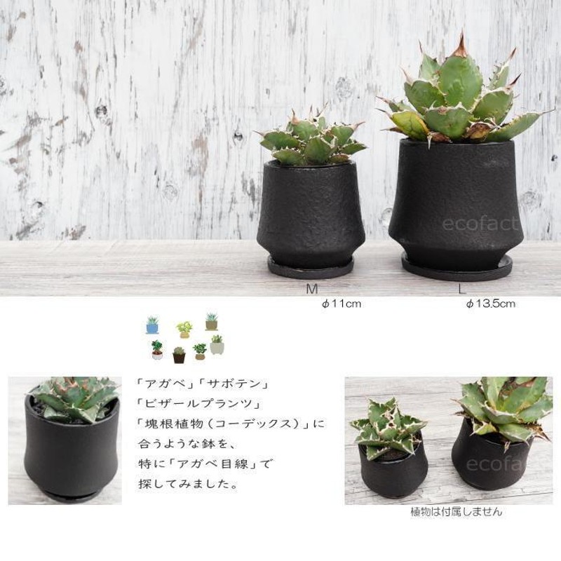 陶器鉢 植木鉢 ミニポット オルガM ブラック 黒 マットブラック φ11cm