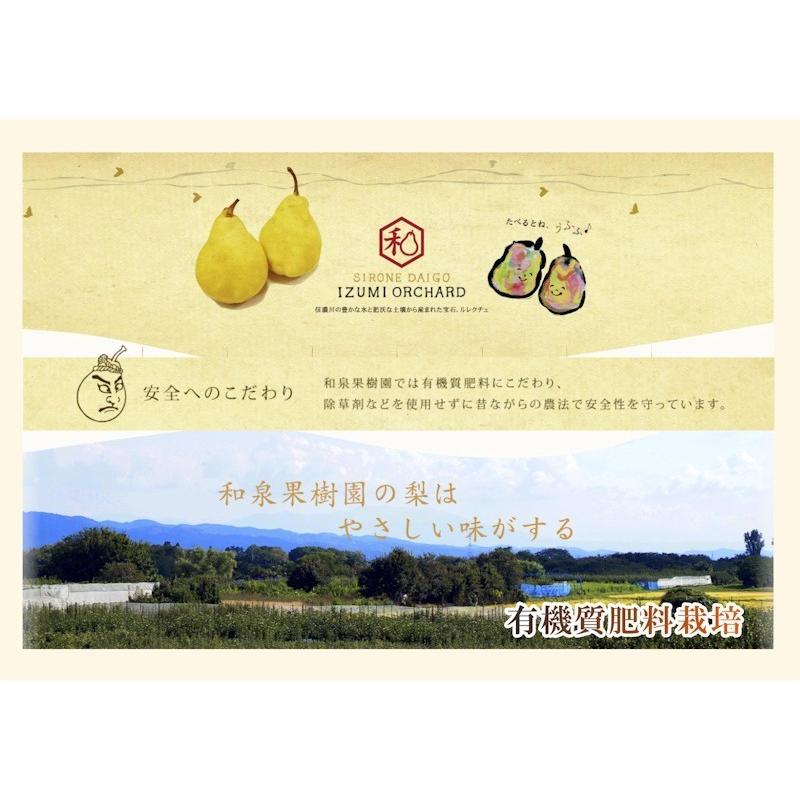 フルーツ 梨 和梨 新興 新潟県白根 梨栽培農家 和泉果樹園 有機質肥料栽培 新興梨 10kg (14個〜20個） 家庭用梨 送料無料