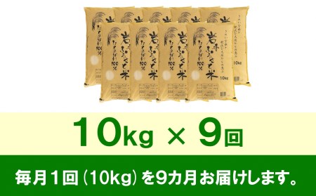 3人に1人がリピーター!☆全9回定期便☆ 岩手ふるさと米 10kg×9ヶ月 令和5年産 新米 一等米ひとめぼれ 東北有数のお米の産地 岩手県奥州市産[U0156]