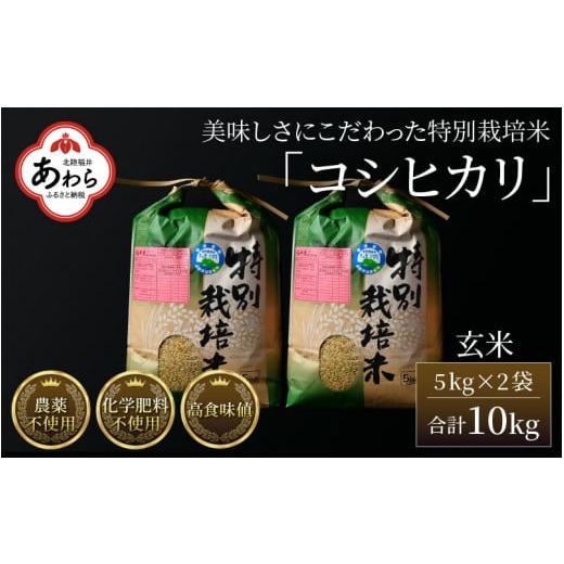 ふるさと納税 福井県 あわら市 コシヒカリ 玄米 5kg×2袋（計10kg） 特別栽培米 農薬不使用 化学肥料不使用 ／ 高品質 鮮度抜群 福井県産 ブ…